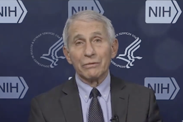 BREAKING: Fauci Allegedly Gave Scientist $2M in Grant Money After Pressuring Him to Stay Quiet About COVID Lab Theory
