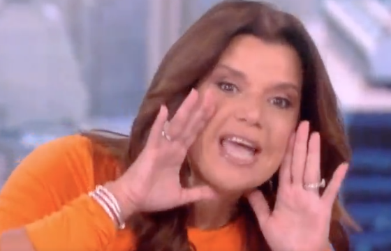 WATCH: 'The View' Host Says She Screams 'We Say Gay' Out Of Her Car Window 'Like A Dog' While In Florida