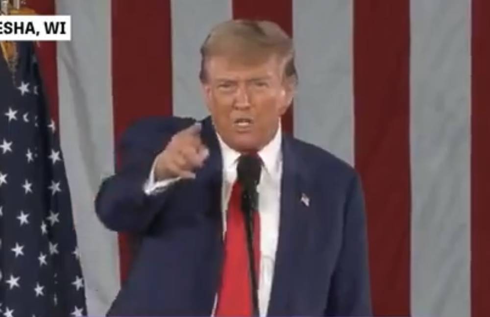 Trump SHREDS Protestor During Rally, Crowd Roars: 'Go Home To Your Mom!'