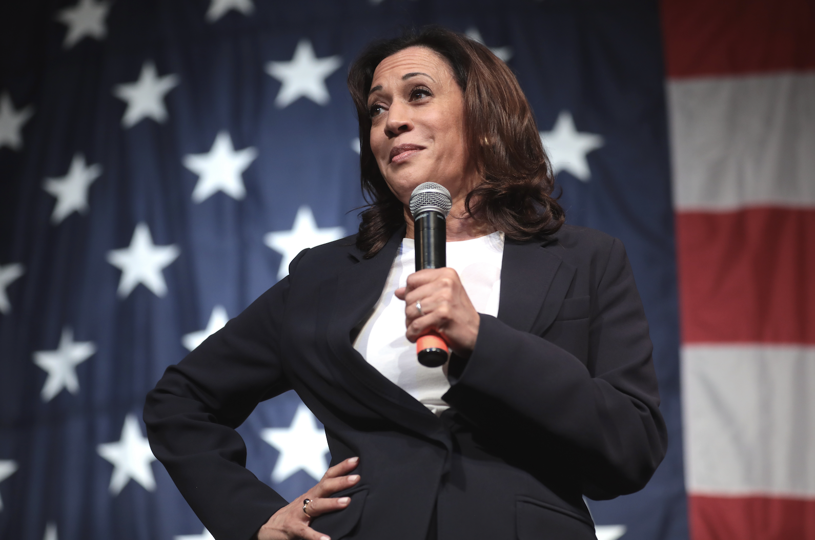 JUST IN: Kamala's 'Online Support' EXPOSED As Fraudulent, Well-Funded