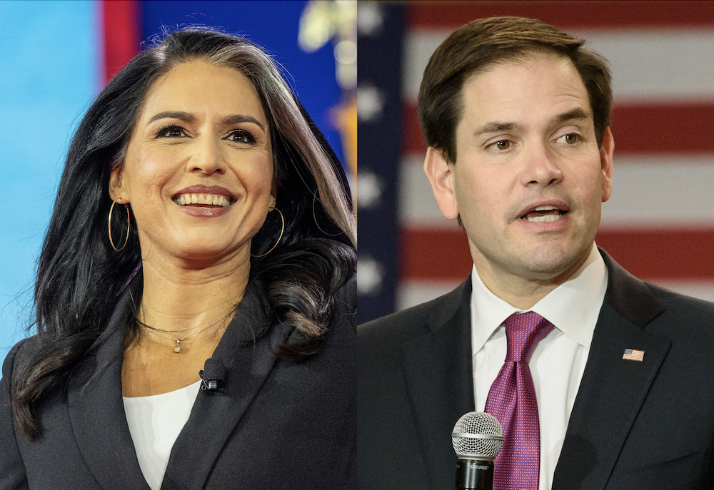 Trump Nominates Gabbard, Rubio For Massive Roles