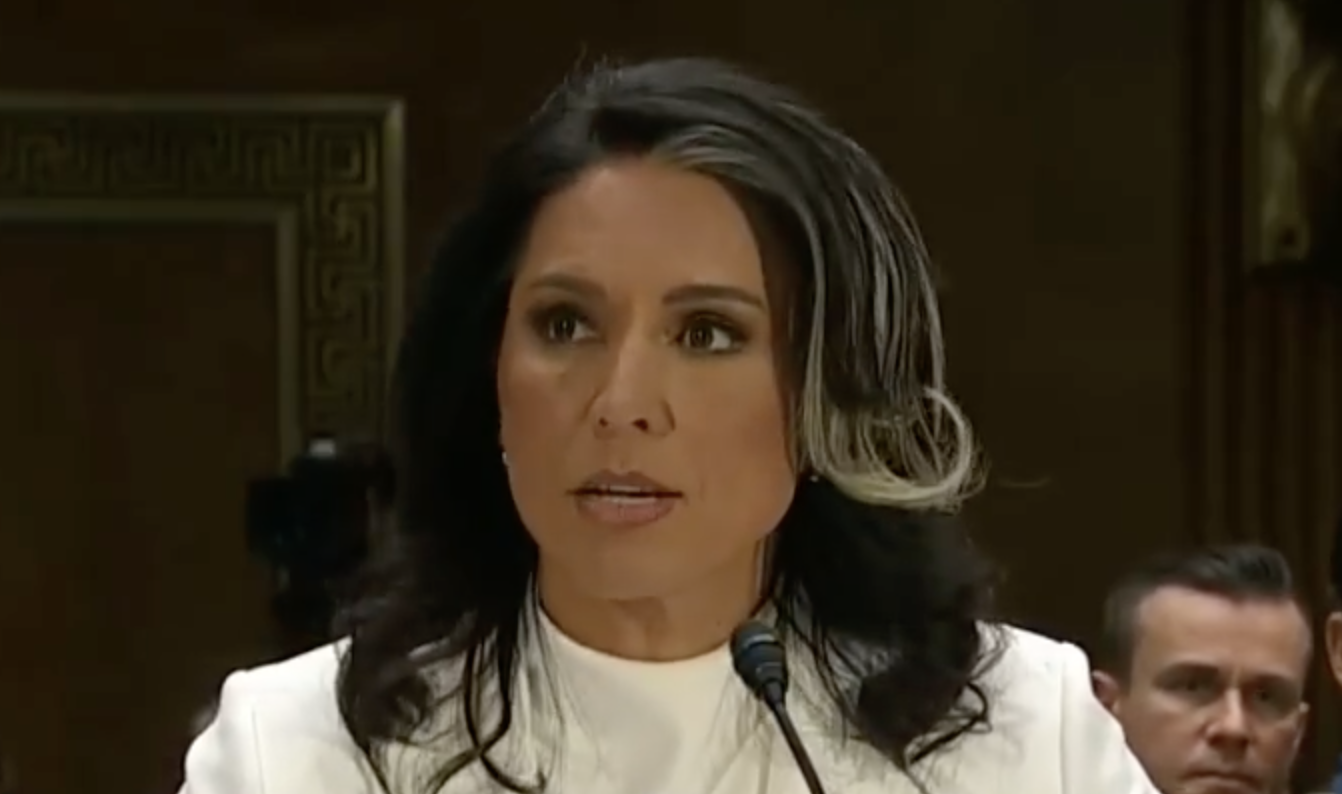 BREAKING: Tulsi Gabbard EXPOSES Deep State MID-HEARING