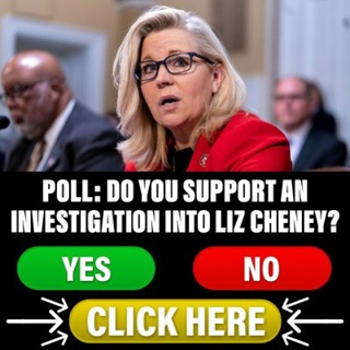 liz cheney