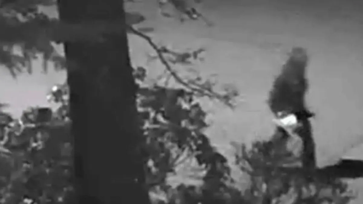 NEW: Gunman Shoots Up Insurance's CEO's Home In 'Targeted' Attack