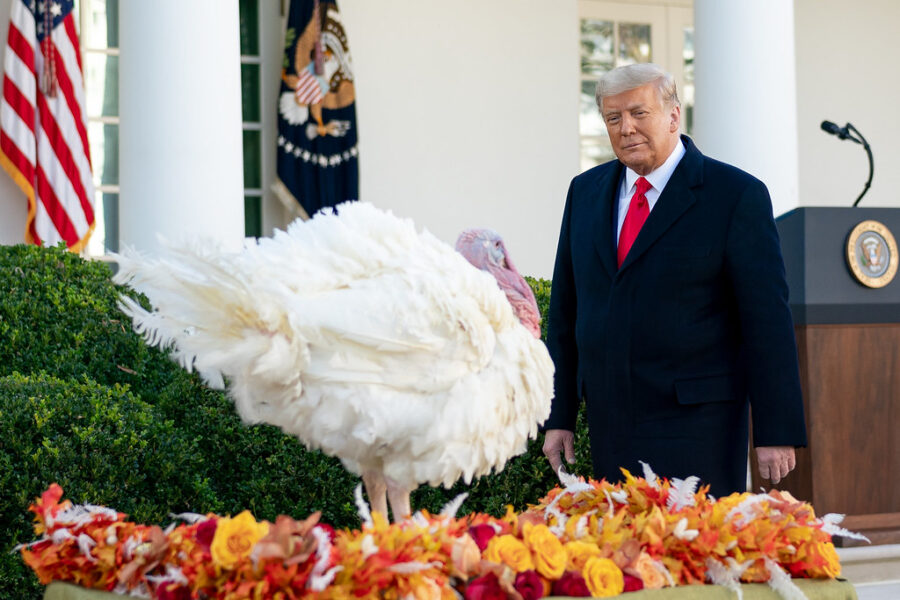 Majority Of Americans Hope To Avoid Thanksgiving Political Discussions, Poll Finds