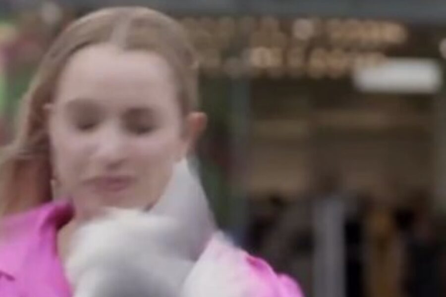 WATCH: News Reporter Pummeled By Bird During Live Recording 2 The New Atlantis