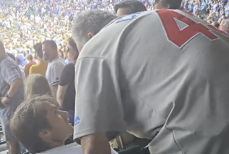 VIDEO: MLB Fan Slaps Spectator Sitting During National Anthem