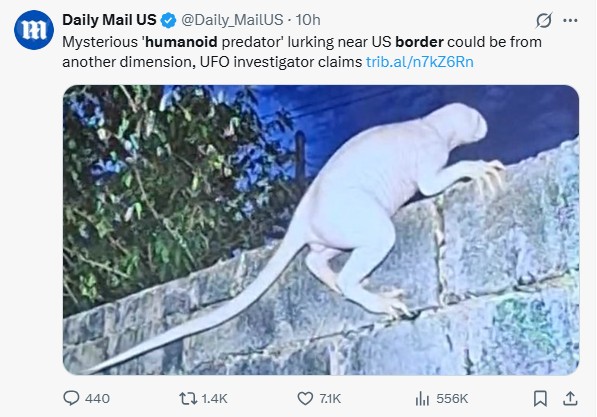 naked-lizard-humanoid-border.jpg